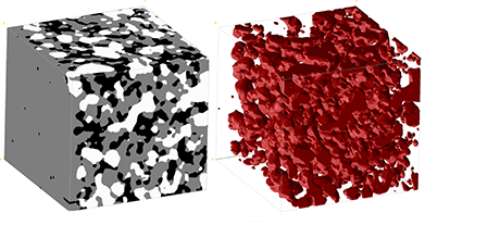 FIB 3D figure small